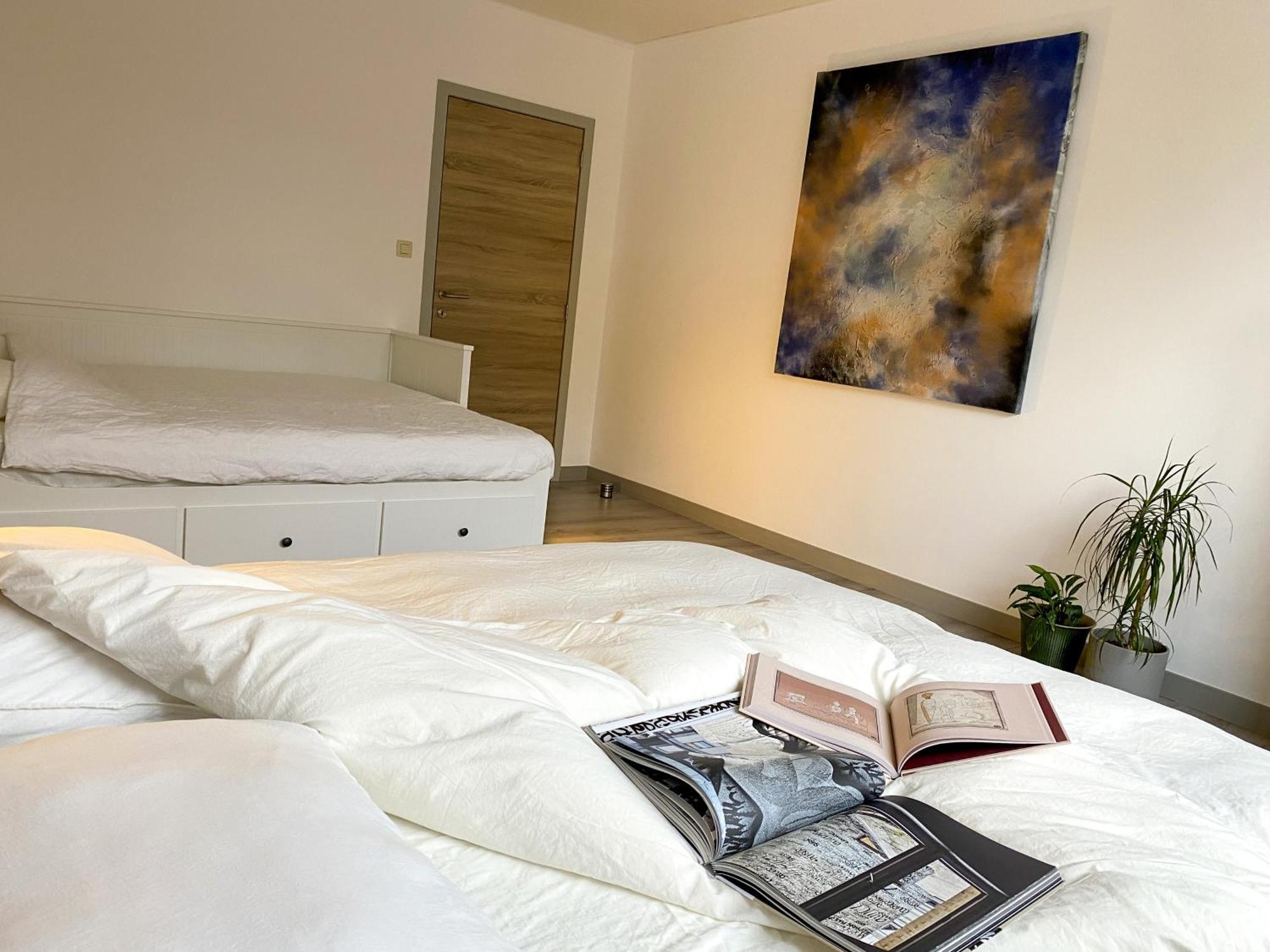 Art House - Maison D'art * Mons